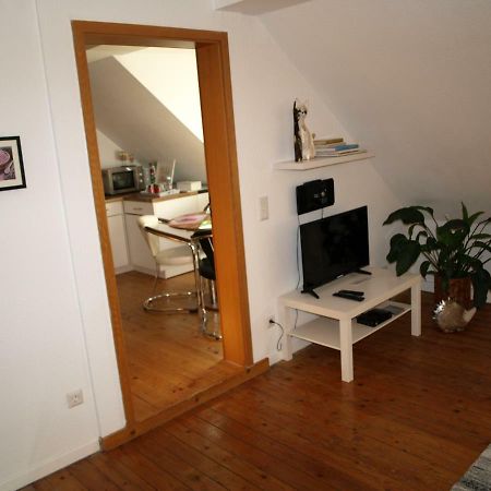 Ferienwohnung Klatschmohn Speyer Dış mekan fotoğraf