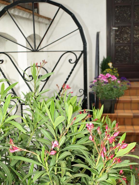 Ferienwohnung Klatschmohn Speyer Dış mekan fotoğraf