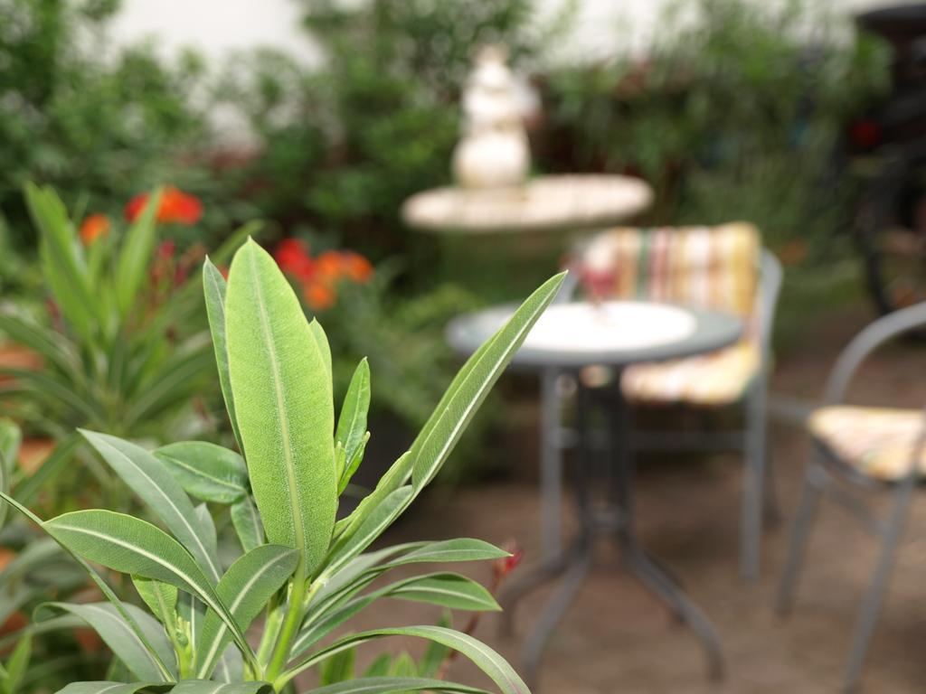 Ferienwohnung Klatschmohn Speyer Dış mekan fotoğraf